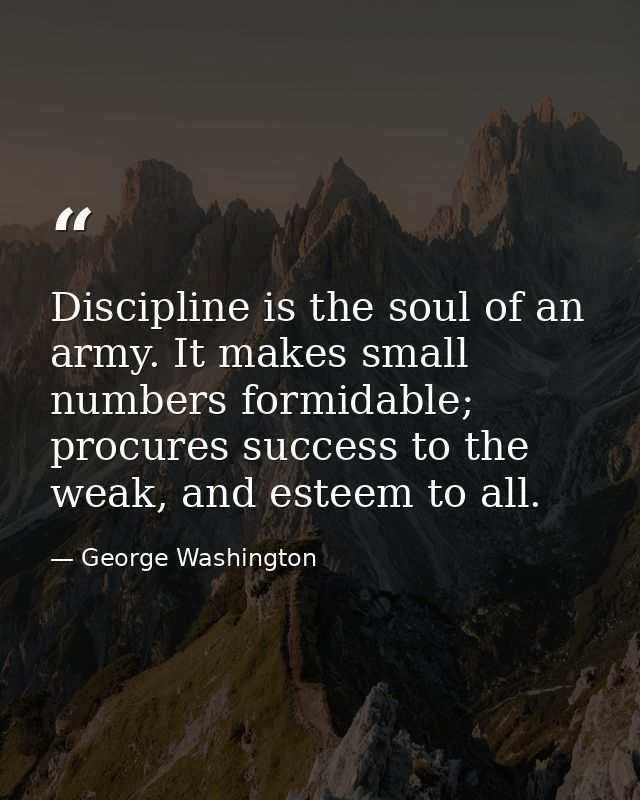 Discipline is the soul of an army. It makes small numbers formidable; procures success to the weak, and esteem to all. — George Washington