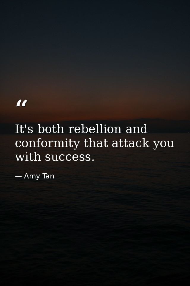 It's both rebellion and conformity that attack you with success. — Amy Tan