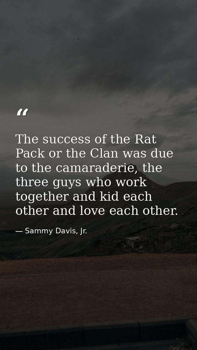The success of the Rat Pack or the Clan was due to the camaraderie, the three guys who work together and kid each other  — Sammy Davis, Jr.
