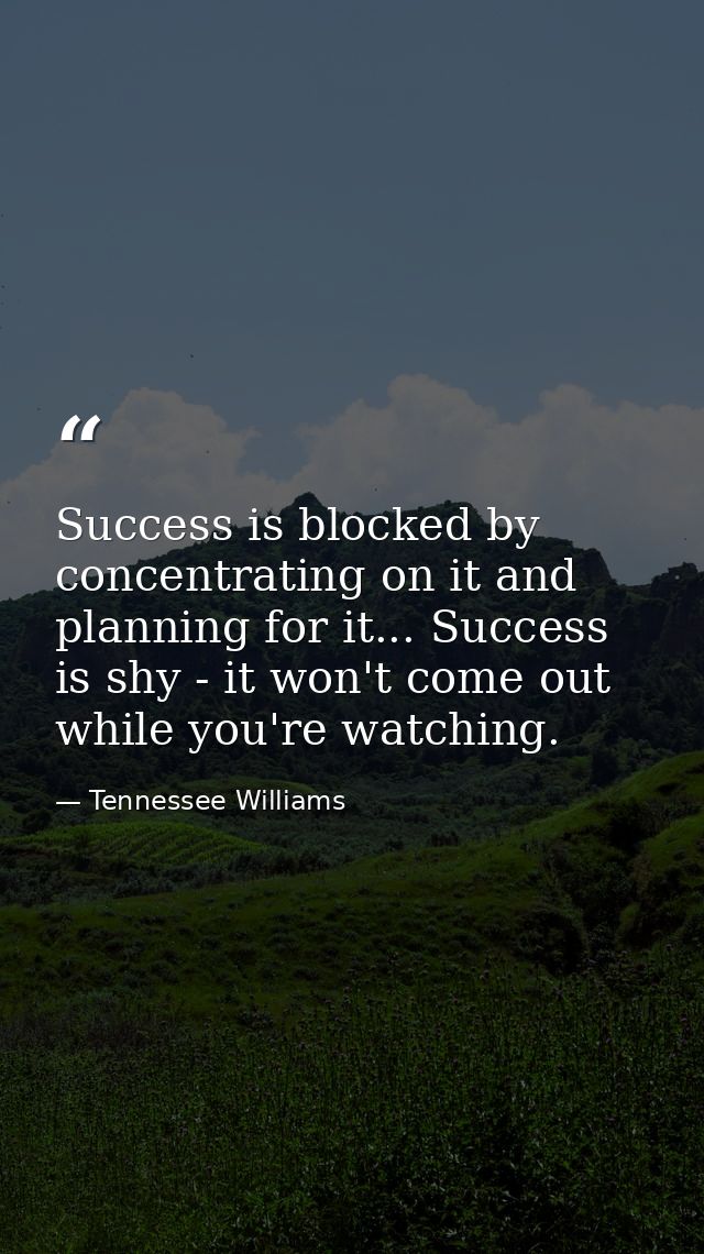 Success is blocked by concentrating on it and planning for it... Success is shy - it won't come out while you're watchin — Tennessee Williams