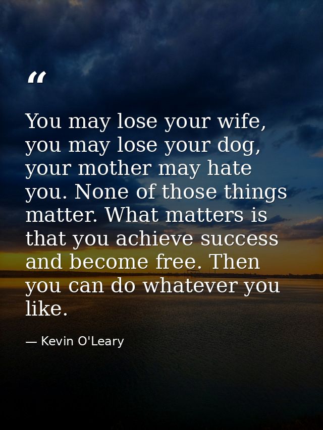 You may lose your wife, you may lose your dog, your mother may hate you. None of those things matter. What matters is th — Kevin O'Leary