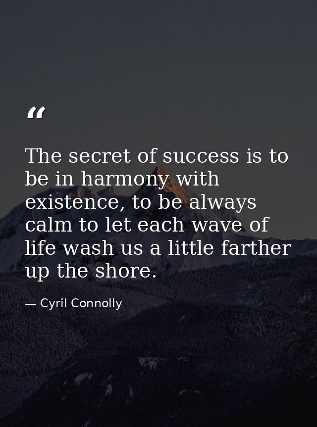 The secret of success is to be in harmony with existence, to be always calm to let each wave of life wash us a little fa — Cyril Connolly