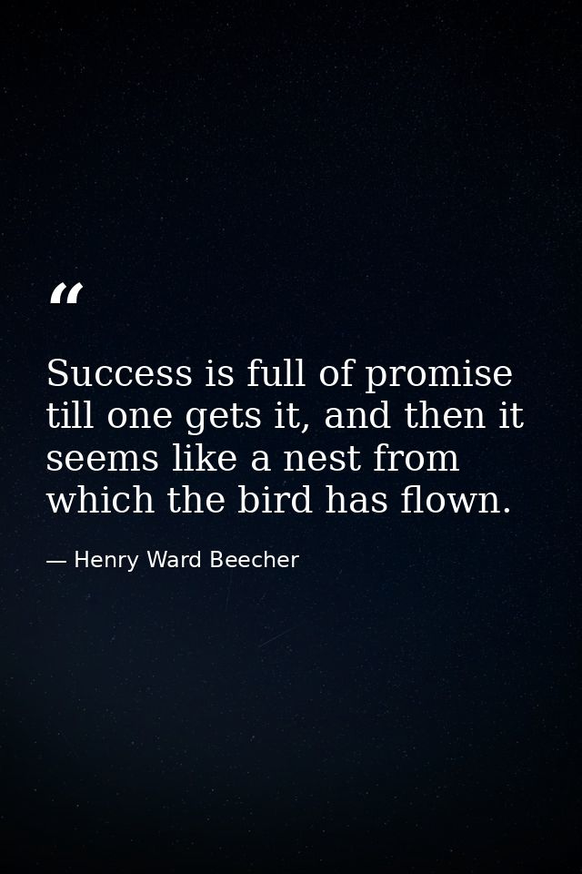 Success is full of promise till one gets it, and then it seems like a nest from which the bird has flown. — Henry Ward Beecher