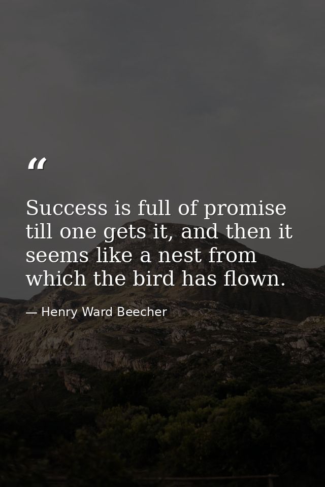 Success is full of promise till one gets it, and then it seems like a nest from which the bird has flown. — Henry Ward Beecher