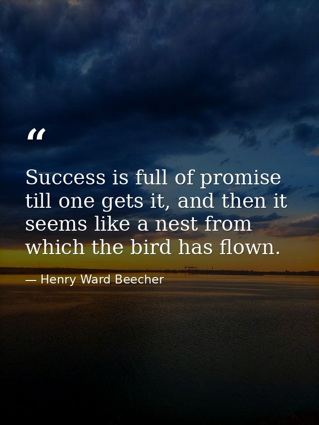 Success is full of promise till one gets it, and then it seems like a nest from which the bird has flown. — Henry Ward Beecher
