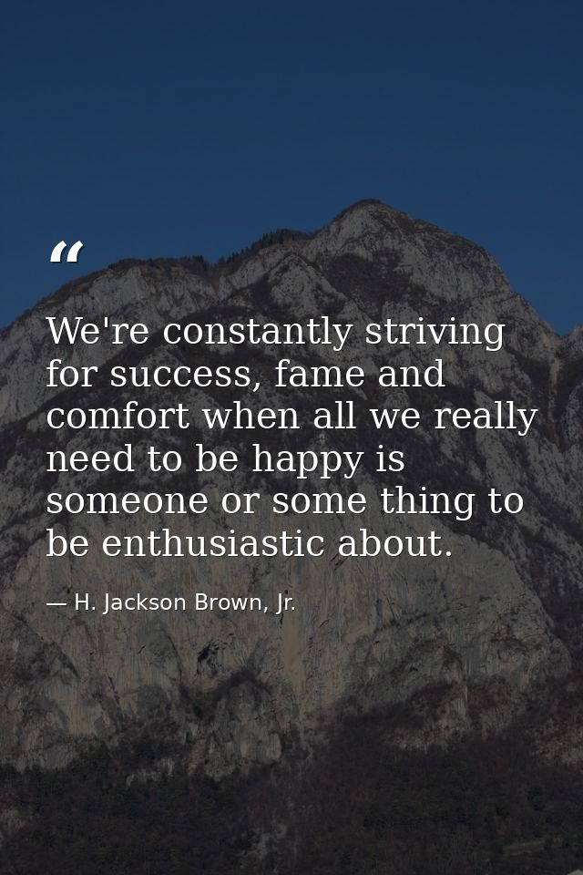 We're constantly striving for success, fame and comfort when all we really need to be happy is someone or some thing to  — H. Jackson Brown, Jr.