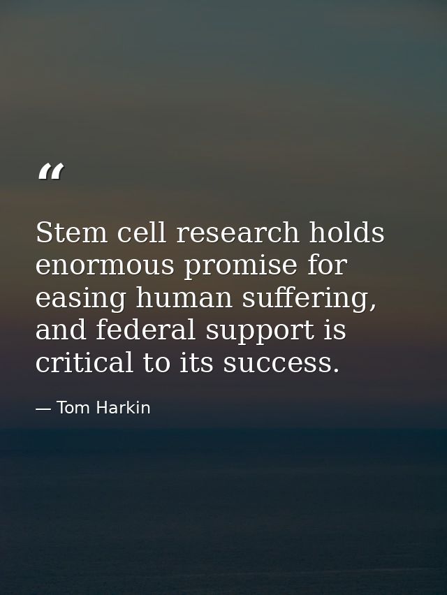 Stem cell research holds enormous promise for easing human suffering, and federal support is critical to its success. — Tom Harkin