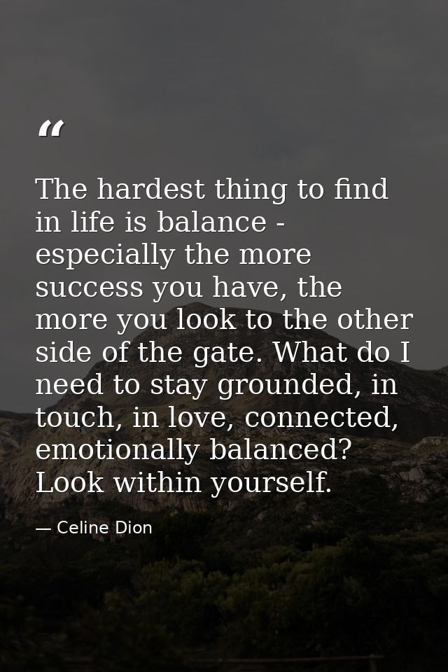 The hardest thing to find in life is balance - especially the more success you have, the more you look to the other side — Celine Dion