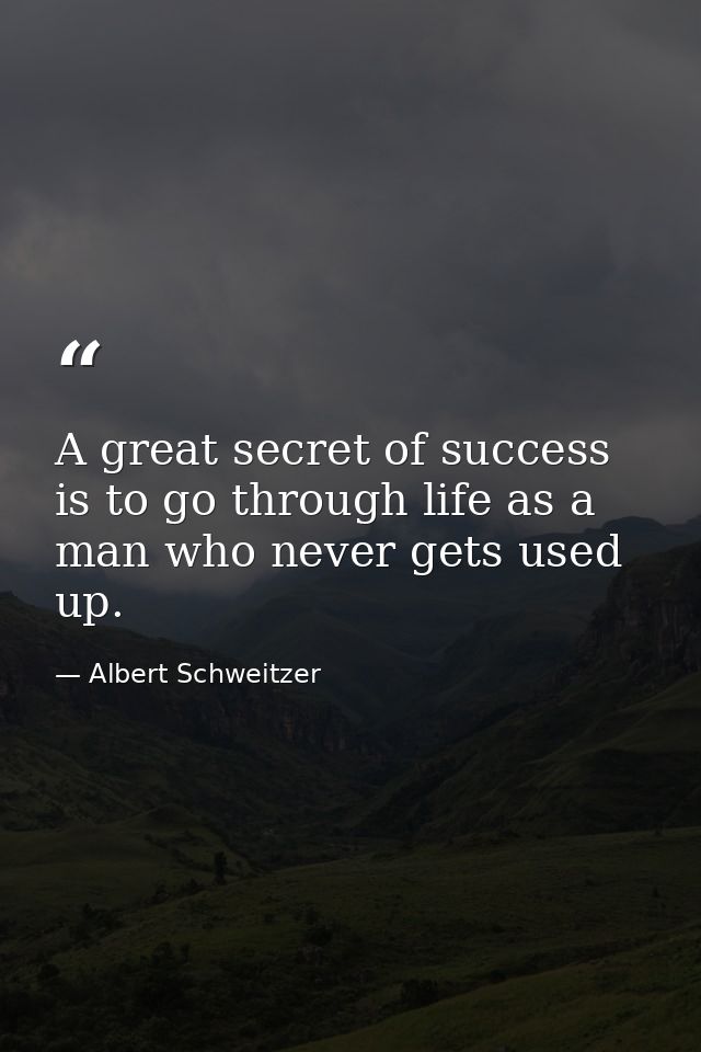 A great secret of success is to go through life as a man who never gets used up. — Albert Schweitzer