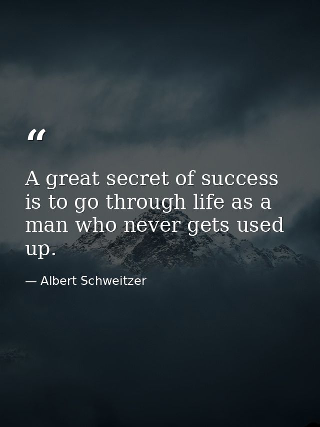 A great secret of success is to go through life as a man who never gets used up. — Albert Schweitzer