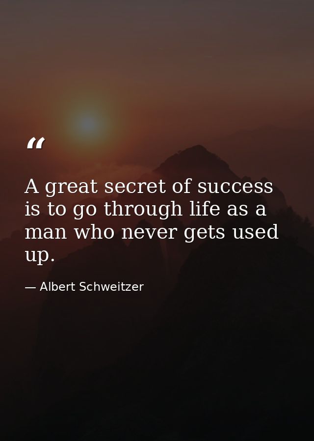 A great secret of success is to go through life as a man who never gets used up. — Albert Schweitzer