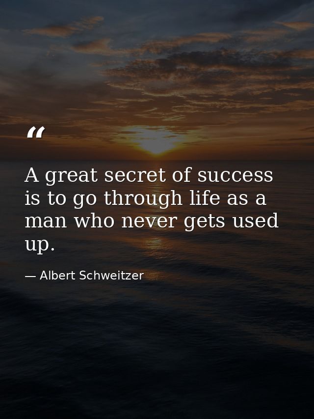 A great secret of success is to go through life as a man who never gets used up. — Albert Schweitzer