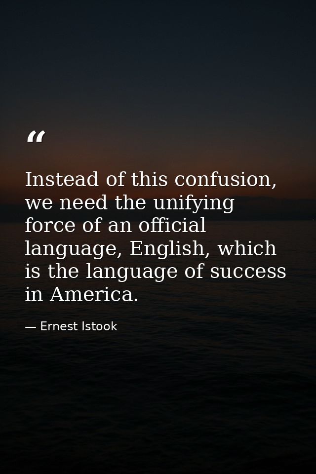 Instead of this confusion, we need the unifying force of an official language, English, which is the language of success — Ernest Istook