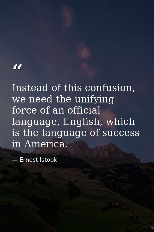 Instead of this confusion, we need the unifying force of an official language, English, which is the language of success — Ernest Istook