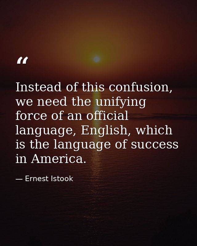 Instead of this confusion, we need the unifying force of an official language, English, which is the language of success — Ernest Istook
