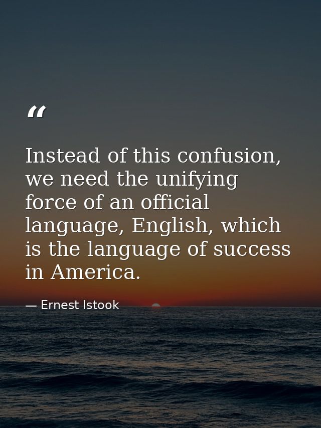 Instead of this confusion, we need the unifying force of an official language, English, which is the language of success — Ernest Istook