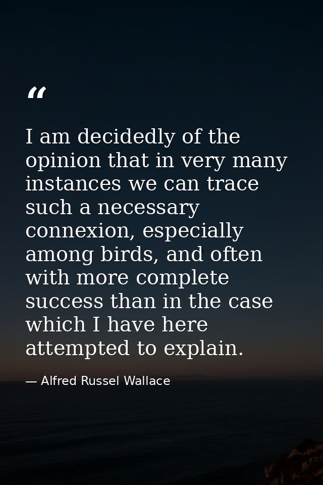 I am decidedly of the opinion that in very many instances we can trace such a necessary connexion, especially among bird — Alfred Russel Wallace