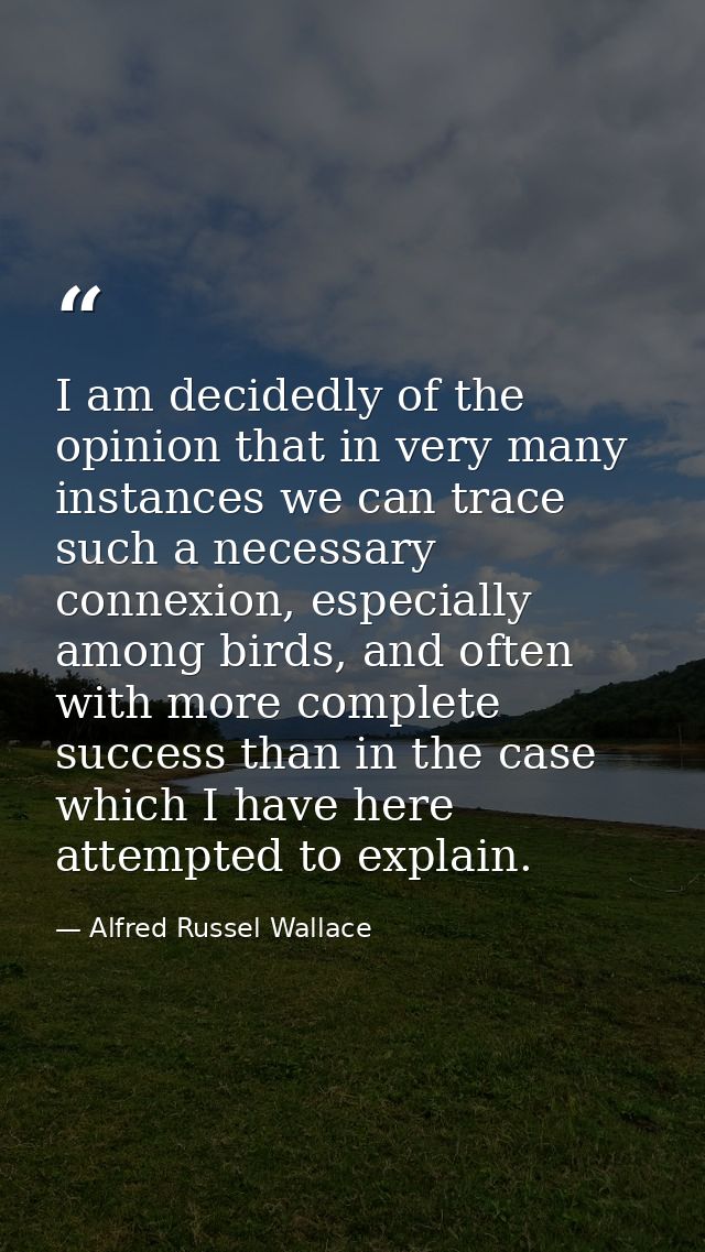 I am decidedly of the opinion that in very many instances we can trace such a necessary connexion, especially among bird — Alfred Russel Wallace