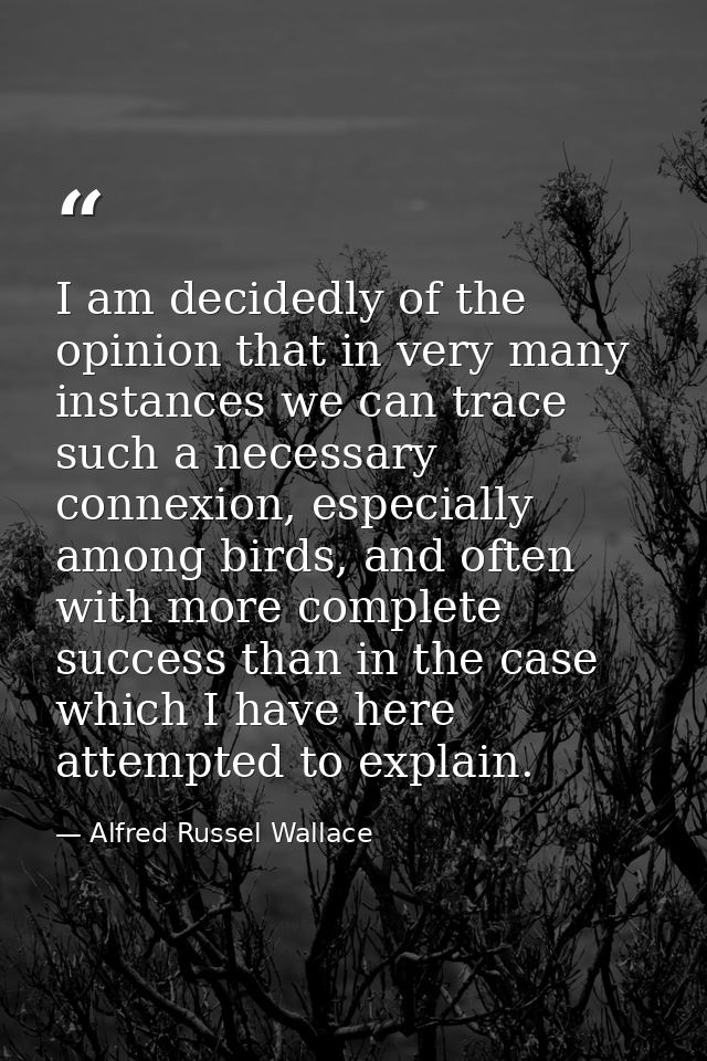 I am decidedly of the opinion that in very many instances we can trace such a necessary connexion, especially among bird — Alfred Russel Wallace