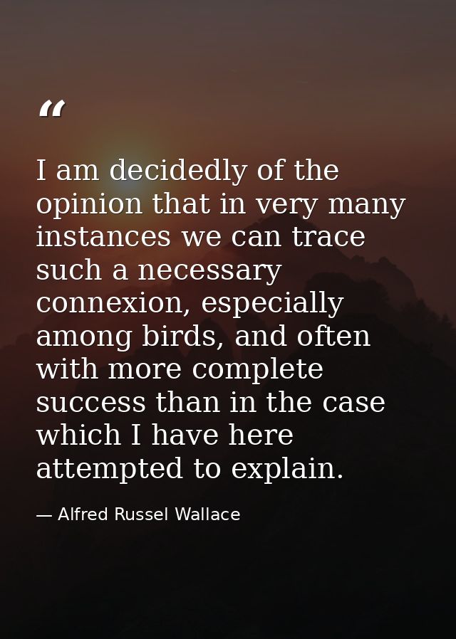 I am decidedly of the opinion that in very many instances we can trace such a necessary connexion, especially among bird — Alfred Russel Wallace
