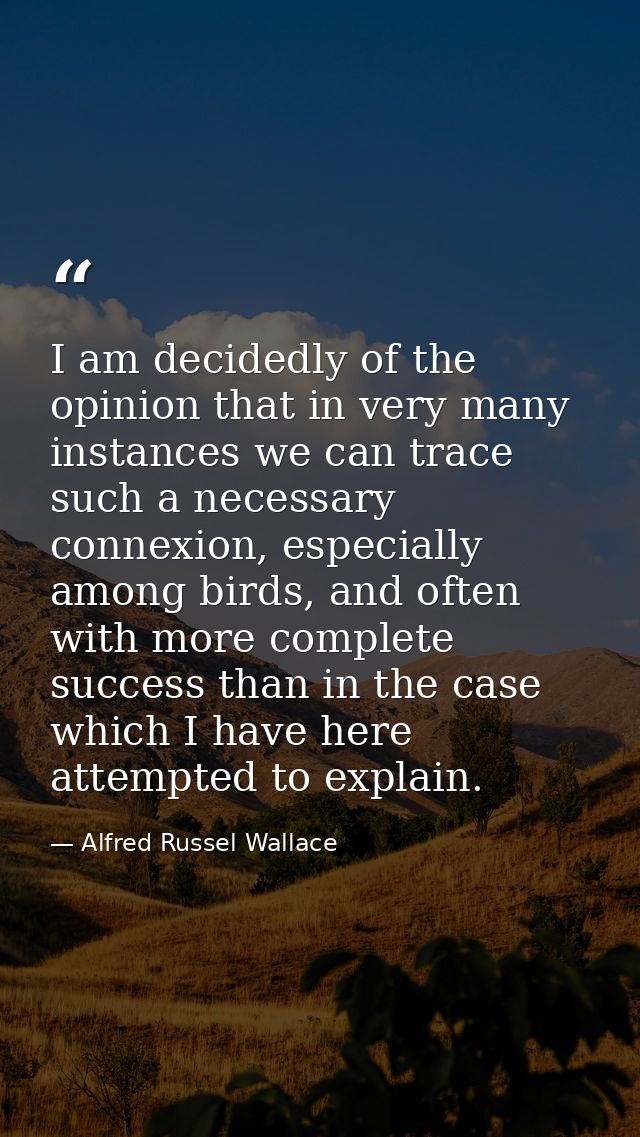 I am decidedly of the opinion that in very many instances we can trace such a necessary connexion, especially among bird — Alfred Russel Wallace
