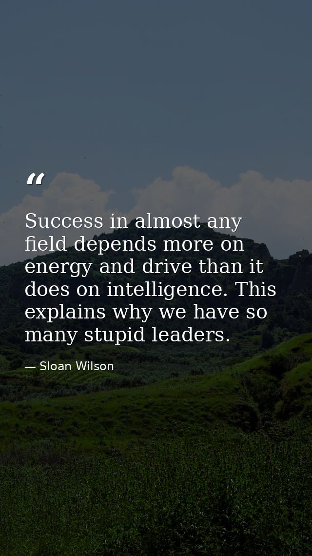 Success in almost any field depends more on energy and drive than it does on intelligence. This explains why we have so  — Sloan Wilson