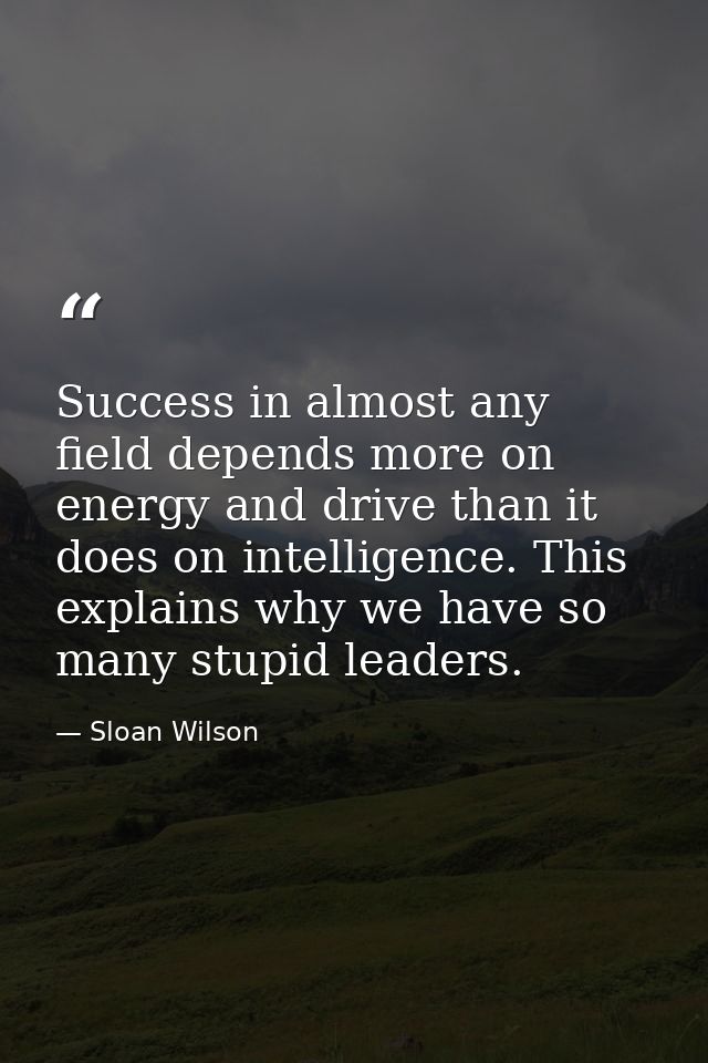 Success in almost any field depends more on energy and drive than it does on intelligence. This explains why we have so  — Sloan Wilson