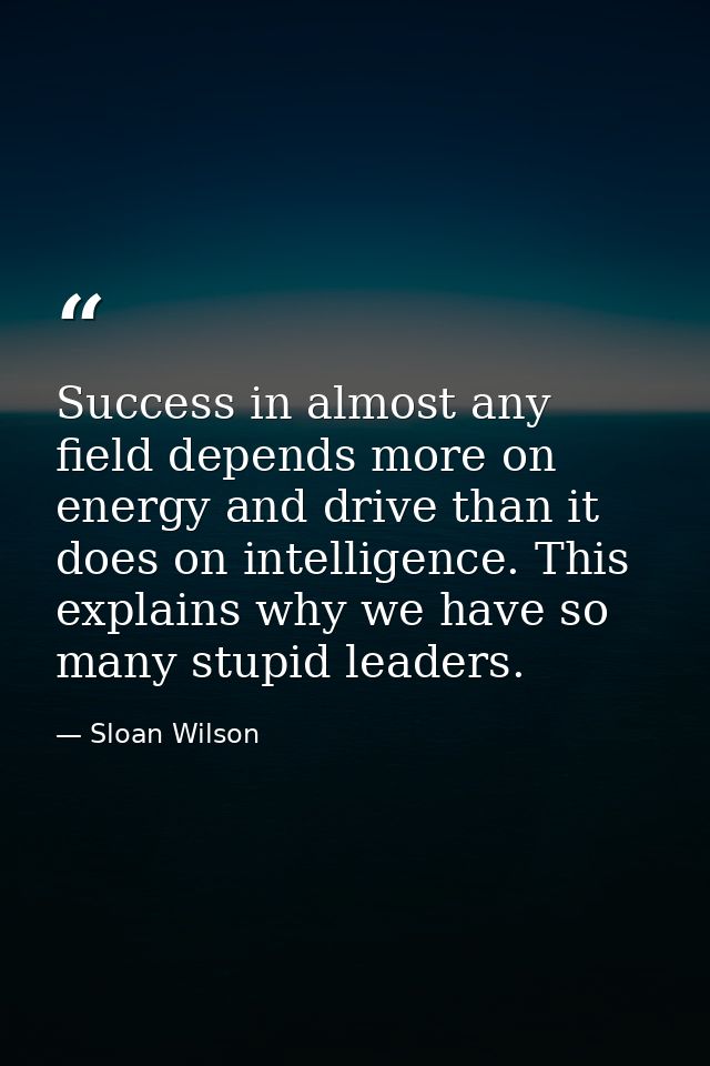 Success in almost any field depends more on energy and drive than it does on intelligence. This explains why we have so  — Sloan Wilson