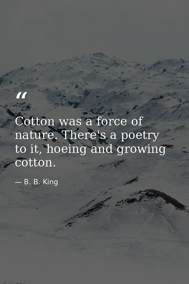 Cotton was a force of nature. There's a poetry to it, hoeing and growing cotton. — B. B. King