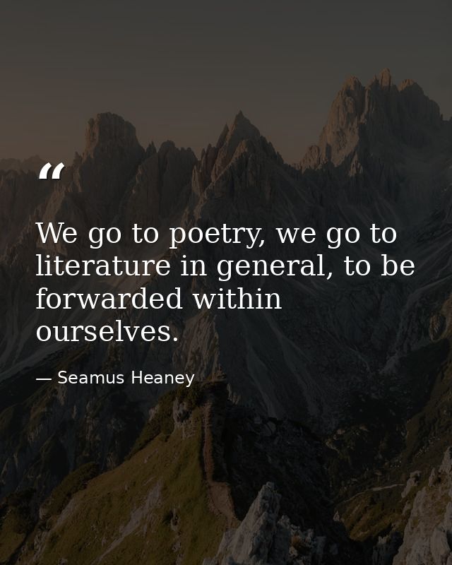 We go to poetry, we go to literature in general, to be forwarded within ourselves. — Seamus Heaney