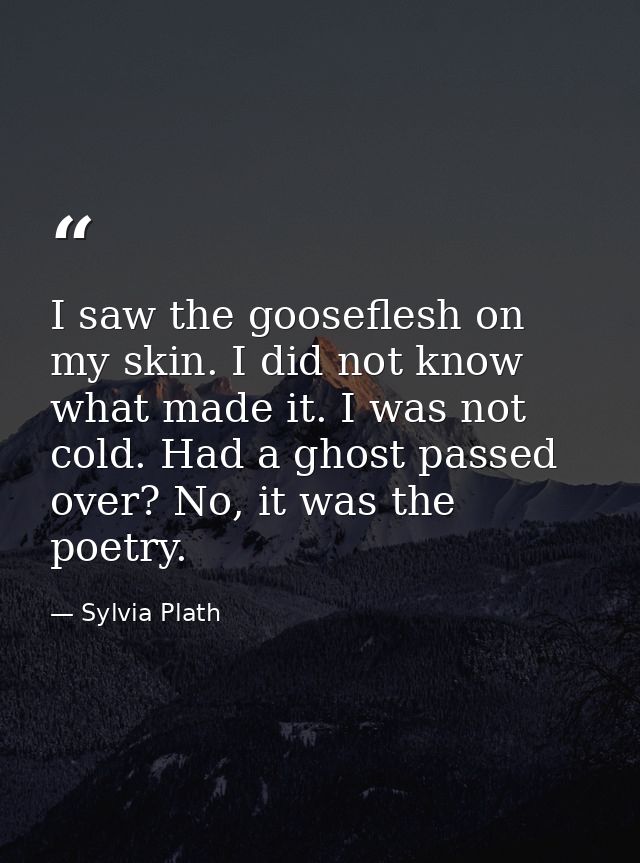 I saw the gooseflesh on my skin. I did not know what made it. I was not cold. Had a ghost passed over? No, it was the po — Sylvia Plath