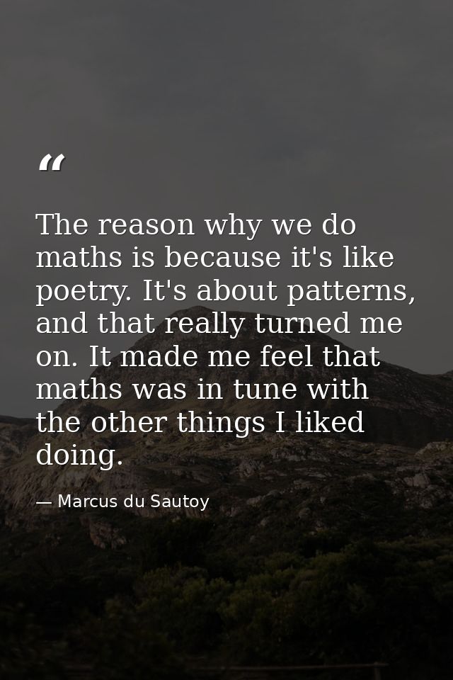 The reason why we do maths is because it's like poetry. It's about patterns, and that really turned me on. It made me fe — Marcus du Sautoy