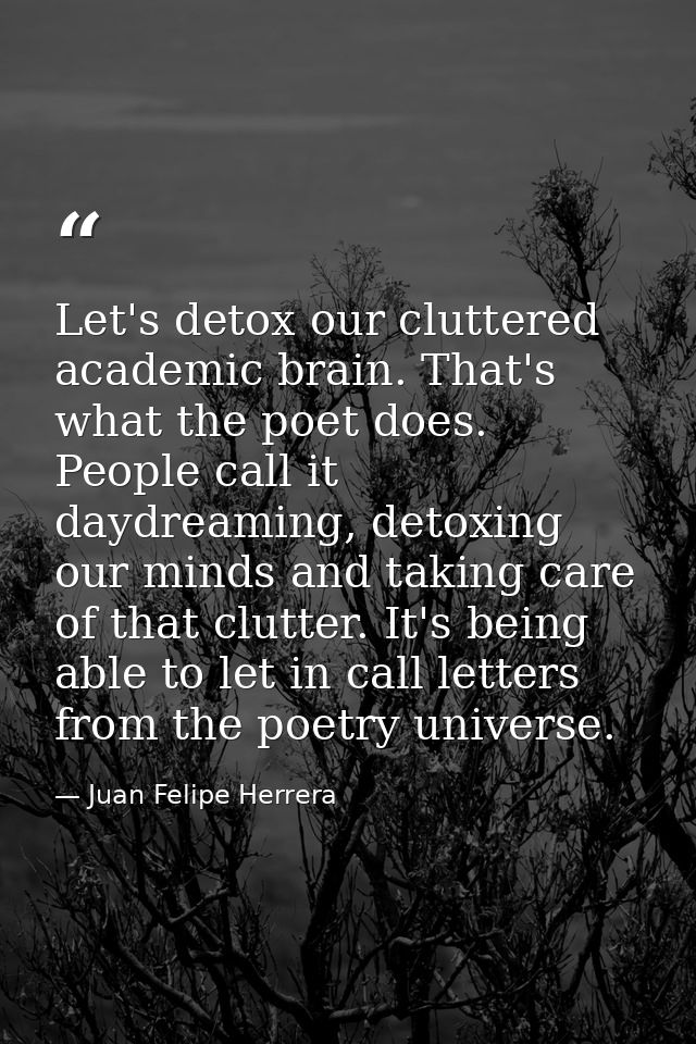 Let's detox our cluttered academic brain. That's what the poet does. People call it daydreaming, detoxing our minds and  — Juan Felipe Herrera