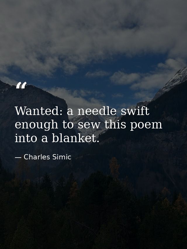 Wanted: a needle swift enough to sew this poem into a blanket. — Charles Simic