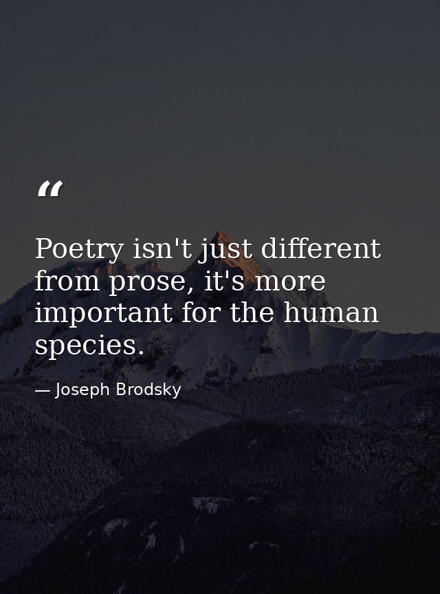 Poetry isn't just different from prose, it's more important for the human species. — Joseph Brodsky