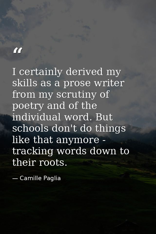 I certainly derived my skills as a prose writer from my scrutiny of poetry and of the individual word. But schools don't — Camille Paglia