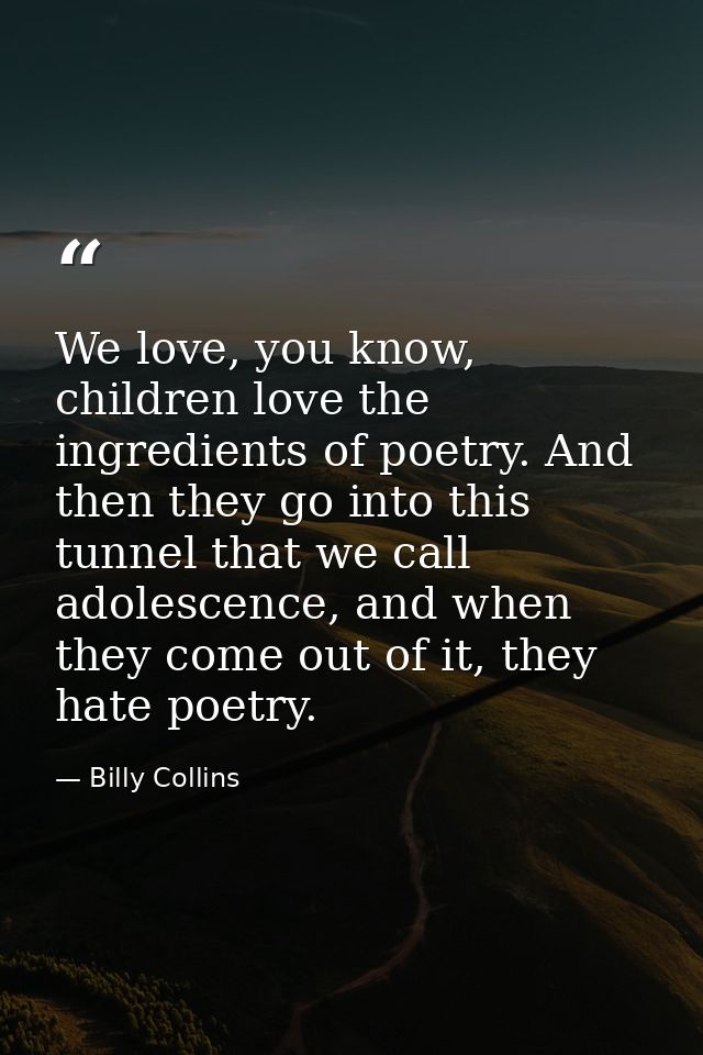 We love, you know, children love the ingredients of poetry. And then they go into this tunnel that we call adolescence,  — Billy Collins