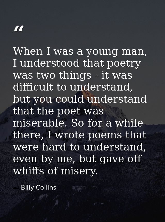 When I was a young man, I understood that poetry was two things - it was difficult to understand, but you could understa — Billy Collins