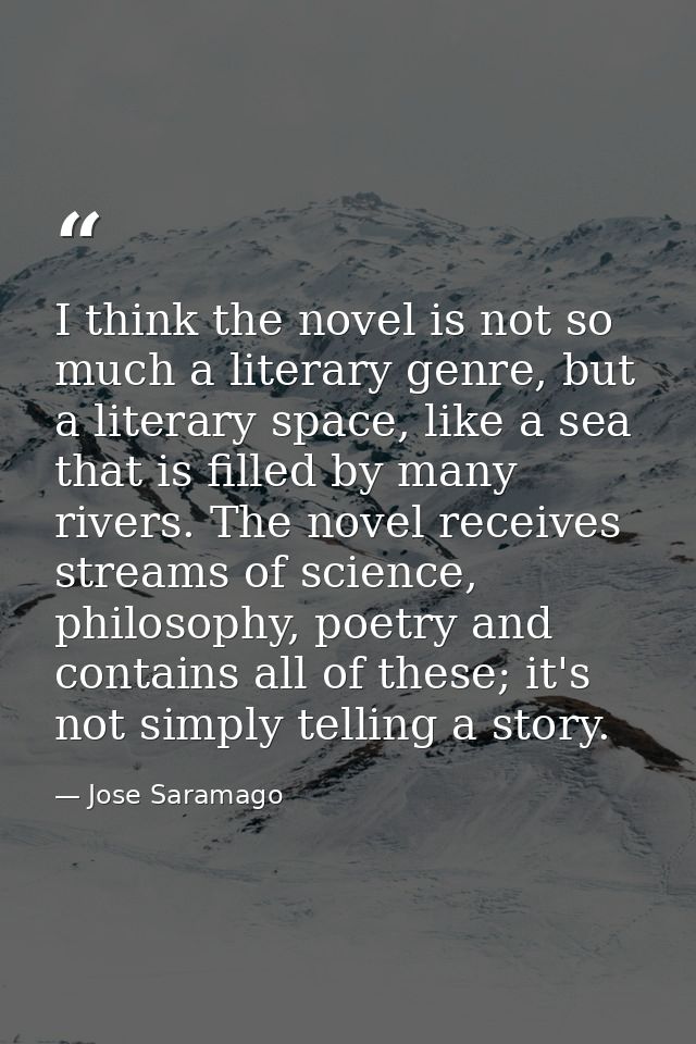 I think the novel is not so much a literary genre, but a literary space, like a sea that is filled by many rivers. The n — Jose Saramago