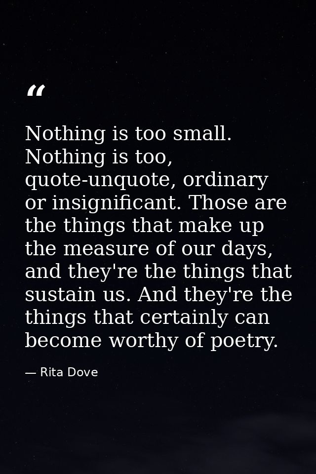 Nothing is too small. Nothing is too, quote-unquote, ordinary or insignificant. Those are the things that make up the me — Rita Dove