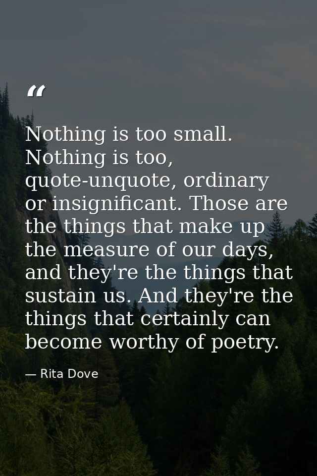 Nothing is too small. Nothing is too, quote-unquote, ordinary or insignificant. Those are the things that make up the me — Rita Dove