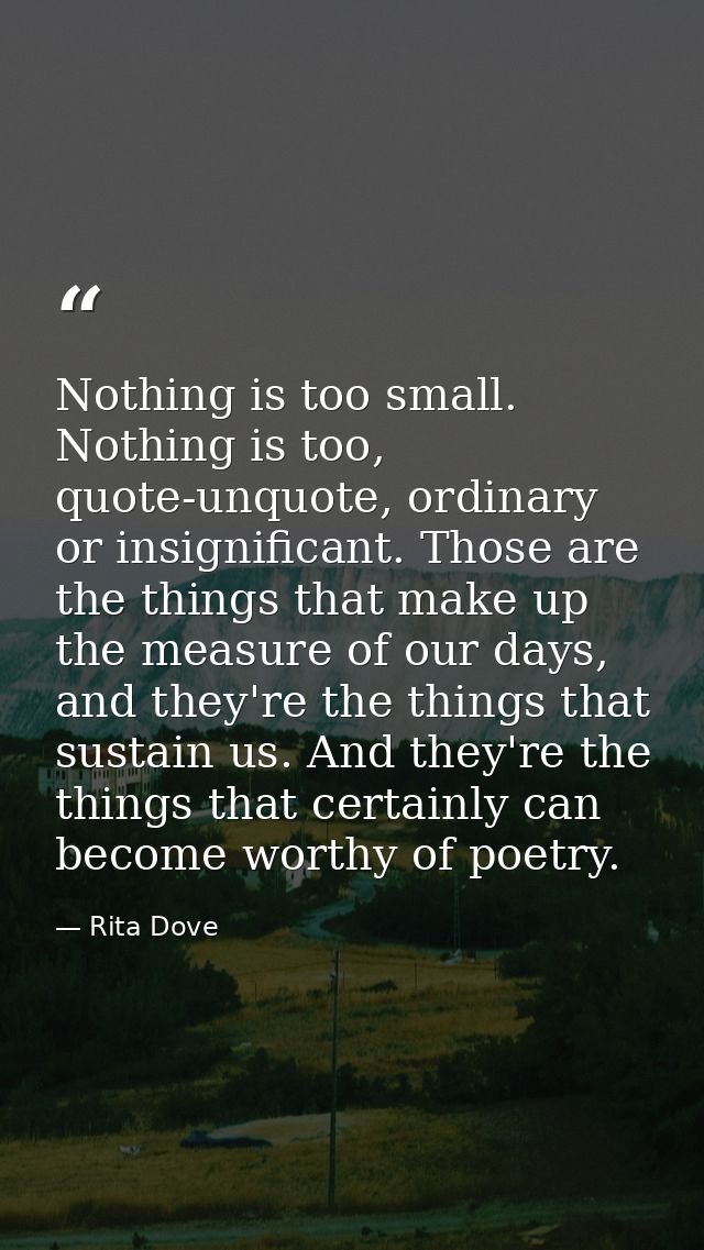 Nothing is too small. Nothing is too, quote-unquote, ordinary or insignificant. Those are the things that make up the me — Rita Dove