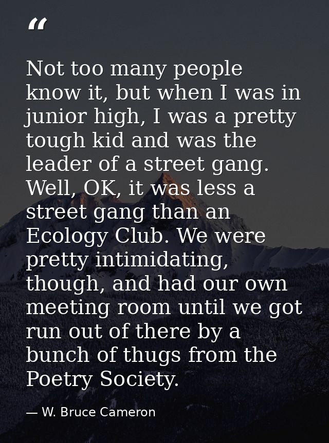 Not too many people know it, but when I was in junior high, I was a pretty tough kid and was the leader of a street gang — W. Bruce Cameron