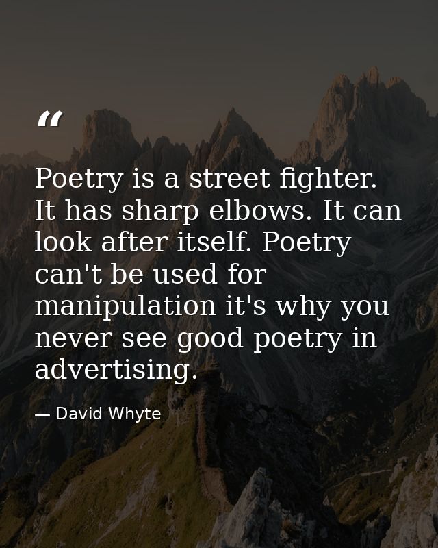 Poetry is a street fighter. It has sharp elbows. It can look after itself. Poetry can't be used for manipulation it's wh — David Whyte