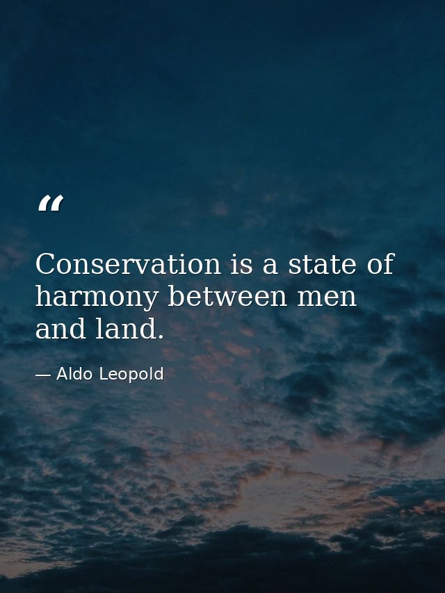 Conservation is a state of harmony between men and land. — Aldo Leopold