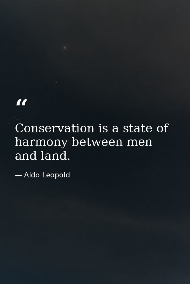 Conservation is a state of harmony between men and land. — Aldo Leopold
