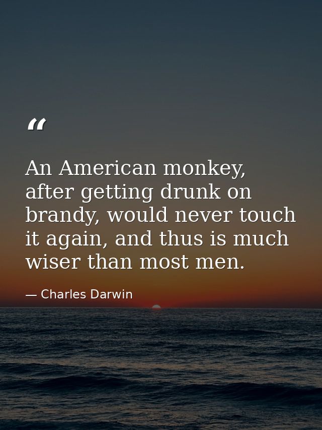 An American monkey, after getting drunk on brandy, would never touch it again, and thus is much wiser than most men. — Charles Darwin