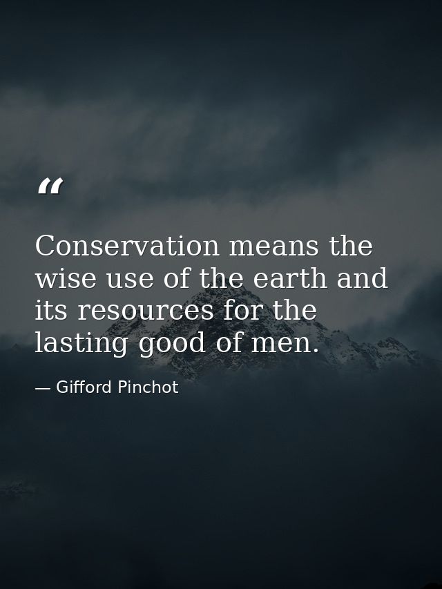 Conservation means the wise use of the earth and its resources for the lasting good of men. — Gifford Pinchot