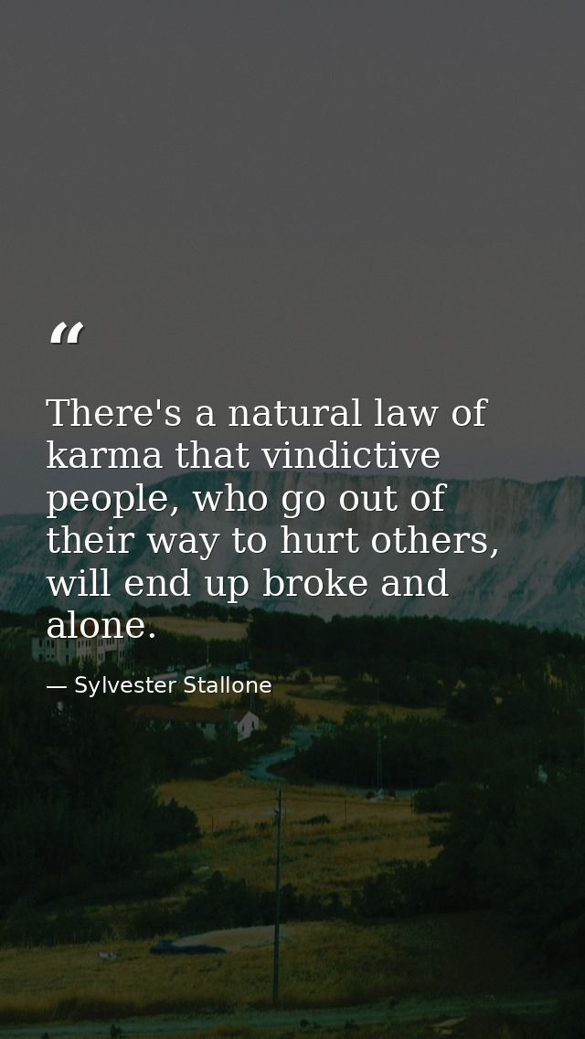 There's a natural law of karma that vindictive people, who go out of their way to hurt others, will end up broke and alo — Sylvester Stallone