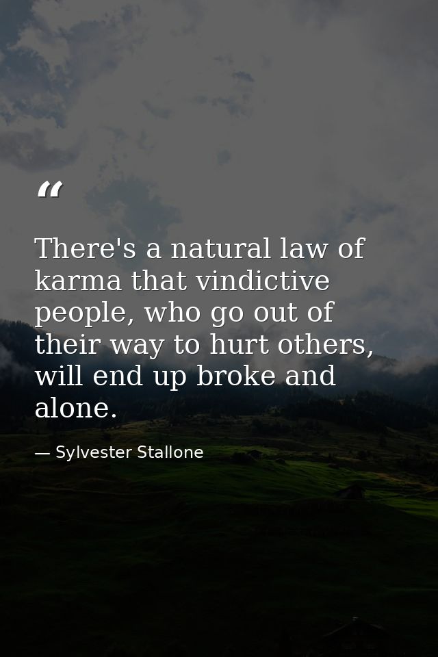 There's a natural law of karma that vindictive people, who go out of their way to hurt others, will end up broke and alo — Sylvester Stallone